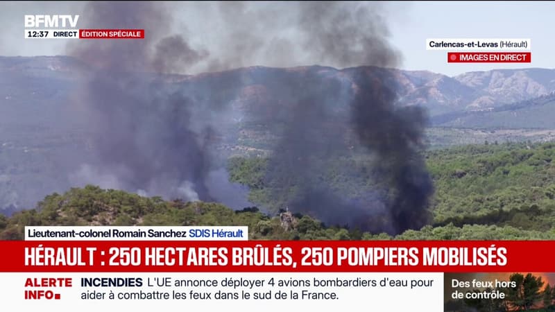 Incendies dans l'Hérault: la lutte se poursuit alors que le feu a déjà parcouru plus de 200 hectares