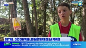 Seyne: à la découverte des métiers de la forêt 