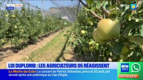 Loi Duplomb : les agriculteurs des Hautes-Alpes réagissent 