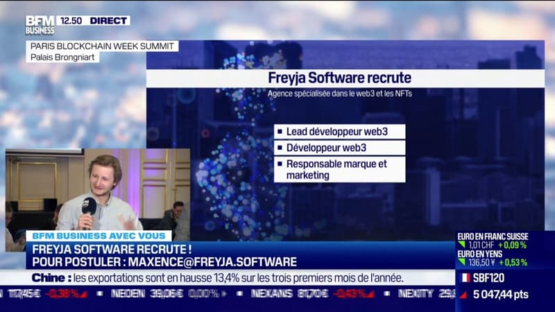 On recrute ! Freyja Software : Agence spécialisée dans le web3 et les NFTs