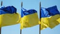 Le ministre de l'Economie Ukrainien démissionne - Mercredi 3 février 2016