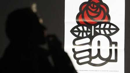 Martine Aubry et Ségolène Royal ont tenté de ramener le calme ce week-end au Parti socialiste, secoué par de nouvelles passes d'armes sur les futures primaires présidentielles. /Photo prise le 16 janvier 2010/REUTERS/Régis Duvignau