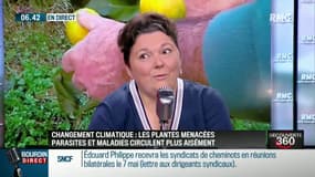 "Certes il y a le changement climatique, mais l'intensification des échanges et les mouvements de populations sont très important dans l'apparition de nouveaux ravageurs"