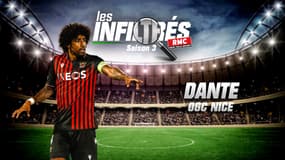 Nice : Dante explique comment l'arrivée de Digard a bousculé les habitudes (Les Infiltrés)