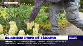 Giverny: les jardins sont prêts pour la réouverture 
