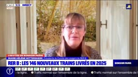 RER B: la présidente du Comité des usagers se "réjouit" de l'accord