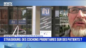 "J'étais scandalisé": à Strasbourg, des cochons prioritaires pour des IRM face à des patients cancéreux