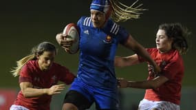 Les Bleues ont remporté le grand chelem 2018