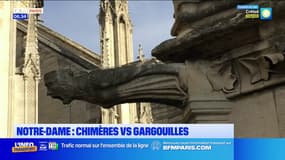 Réouverture de Notre-Dame: quelle est la différence entre chimères et gargouilles?