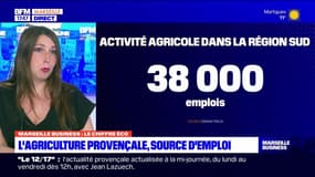 Marseille Business du mardi 5 mars - L'Agriculture Provençale : source d'emploi