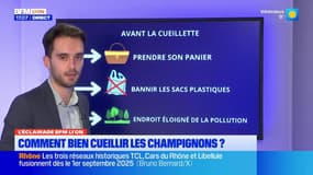Auvergne-Rhône-Alpes: l'ARS donne des recommandations pour bien cueillir ses champignons