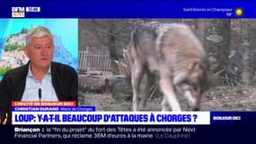 Attaques de loups: pour Christian Durand, maire de Chorges, "il faudra trouver d'autres nouvelles solutions", car la situation "devient intenable pour les éleveurs"