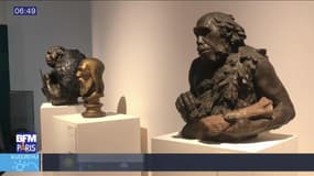 Sortir à Paris: L'Homme de Néandertal s'expose
