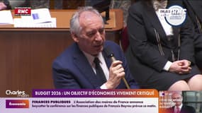 Budget 2026: un objectif d'économies vivement critiqué par les oppositions 