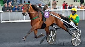 Face Time Bourbon champion d'Europe