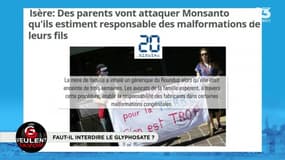 Les GG veulent savoir: Faut-il interdire le glyphosate ? - 05/10
