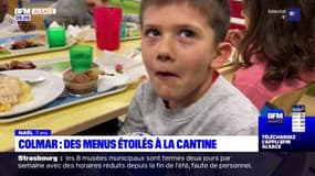 Colmar: des menus étoilés à la cantine