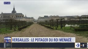 L'essentiel de l'actualité parisienne du dimanche 10 décembre 2017