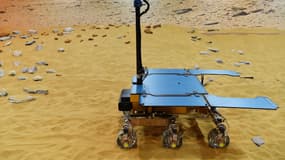 Un prototype en état de marche du robot de la mission Exomars, nommé Rosalind Franklin le 7 février 2019 à Stevenage, au Royaume-Uni. 