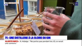 Une distillerie, entièrement dédiée au gin, vient d'ouvrir à Paris