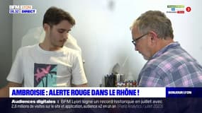 Ambroisie: alerte rouge dans le Rhône