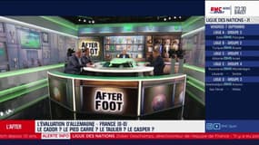 La Dream Team revient sur la progression fulgurante d'Alphonse Areola  