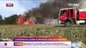 Incendie en Lozère et en Aveyron : le feu est maîtrisé mais pas encore fixé