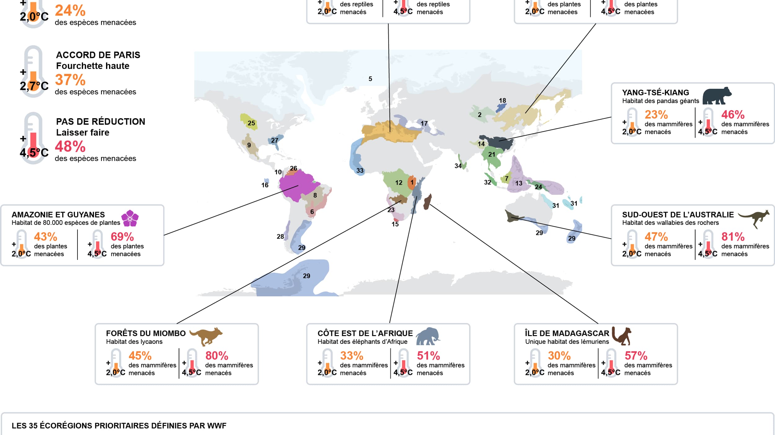 Infographie animaux menacés Infographie animaux menacés