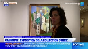 Caumont : la collection d'Oscar Ghez exposée