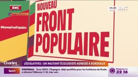 Législatives : Un militant écologiste agressé à Bordeaux 
