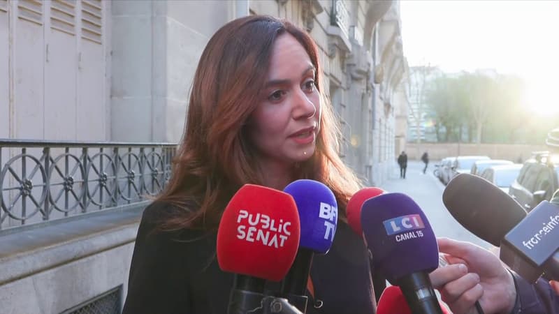 Municipales à Paris: Sarah Knafo fustige "la droite la plus bête du monde" après le refus d'une fusion entre sa liste et celle de Rachida Dati