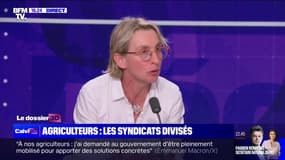 Véronique Le Floc’h (présidente de la Coordination Rurale de France): "Il nous faut une année sans contrôle"