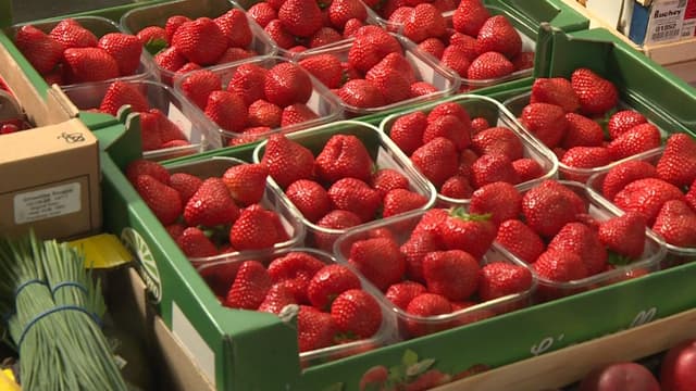 La Chine, un tremplin pour l’exportateur de produits frais Leofresh