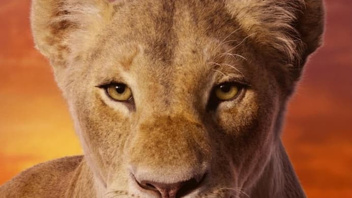 Affiche du Roi Lion Affiche du Roi Lion