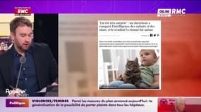 On n'a pas osé vous en parler : Les chats plus intelligents que les bébés - 25/11
