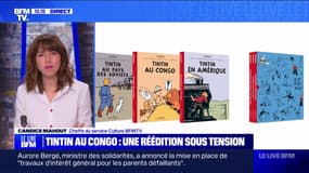 "Tintin au Congo" republié et muni d'une préface sur son contexte colonial 