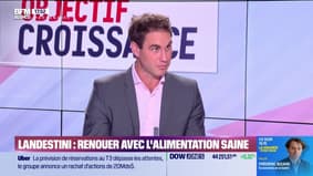 Henri Landes (Landestini): Landestini, reconnecter avec des aliments sains - 06/08