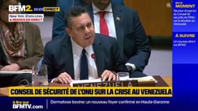 Crise entre le Venezuela et les États-Unis: "Il s'agit là de la pire extorsion de notre histoire", affirme le représentant du Venezuela à l'ONU