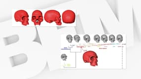 Modélisation de l'ancêtre commun à tous les Homo sapiens. 