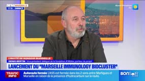 "Marseille Immunology Biocluster", ou comment la France tente de produire les médicaments d'immunothérapie en France