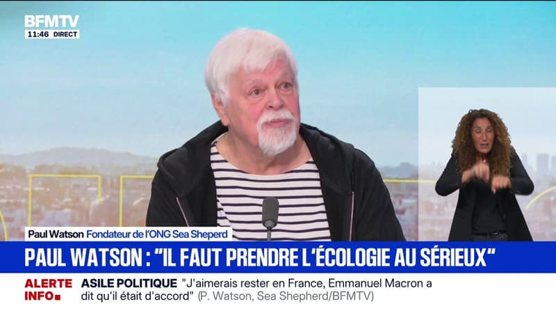 Lutte contre la chasse à la baleine: 