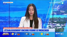 JT du Sud du mercredi 25 septembre