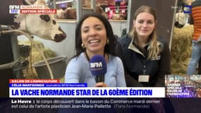 La vache normande star de la 60e édition du salon de l'agriculture