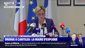 Coup de filet anti-stupéfiants en Seine-Maritime: "Je viens de passer le pire moment de ma vie", affirme Mélanie Boulanger, maire PS de Canteleu