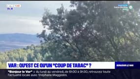 Var: qu'est-ce qu'un "coup de tabac"?