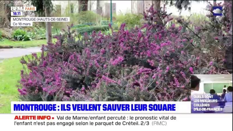 Hauts-de-Seine: des habitants de Montrouge se mobilisent pour sauver leur square
