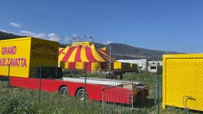 Le cirque Zavatta à Nice, le 4 mars 2023.