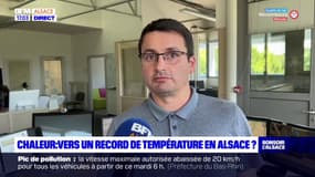 Canicule en Alsace: le record de 2019 ne devrait pas être battu selon Météo-France