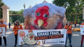 Le poulet géant a été installé devant l'entrée du Parc de la Tête d'Or, jeudi 15 mai 2025, à Lyon. 