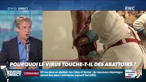 Nicolas Poincaré : Pourquoi le virus touche-t-il des abattoirs ? - 19/05
